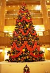 横浜ランドマークのクリスマスツリーで一足早いクリスマス