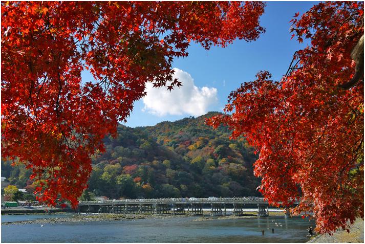 渡月橋でしっとり女子力を磨く旅。京都嵐山の佇まいに心落ち着く。