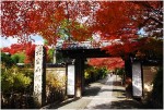 龍安寺のおすすめ観光ガイド！京都の石と苔の神秘を感じる！