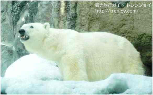 hokkaidoctr-asahisiro