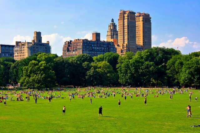 セントラル・パークの芝生
