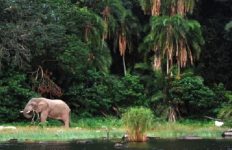 100万年の歴史を持つアフリカ・タンザニアの「ヴィクトリア湖」