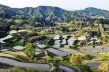 星峠の棚田（新潟県十日町市）で絶景を！水鏡と雲海の棚田観光