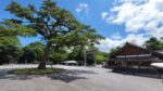 伊勢神宮の参拝観光、壮大な125の宮社からなる神域と食べ歩きグルメ