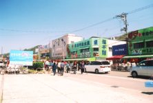 新潟・寺泊の魚市場、新鮮な魚介類グルメ・買い物を楽しもう