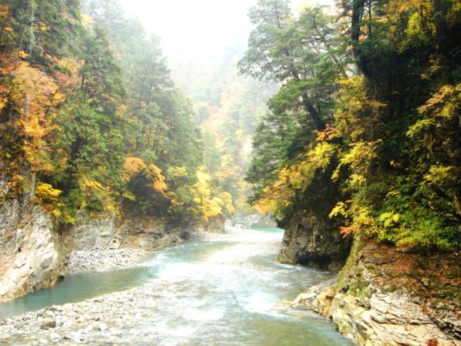 日本三大渓谷とは？清津峡・黒部峡谷・大杉谷、雄大な3つの渓谷を紹介
