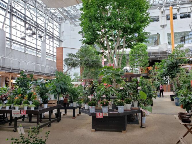 川口緑化センター 樹里安はおしゃれな空間で植物園みたい！癒される！