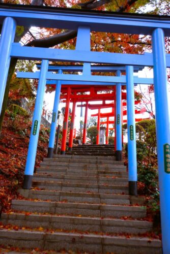 足利織姫神社の七色の鳥居
