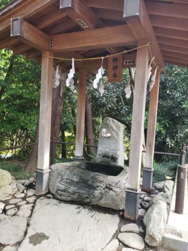 さいたま市という都会では珍しい、飲める湧水