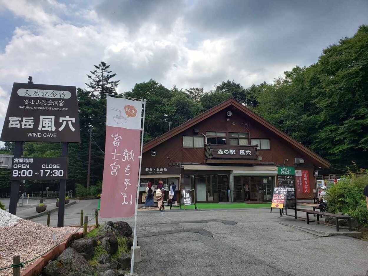 青木ヶ原樹海の自然と神秘を体感、近くの鳴沢氷穴との違いも解説！