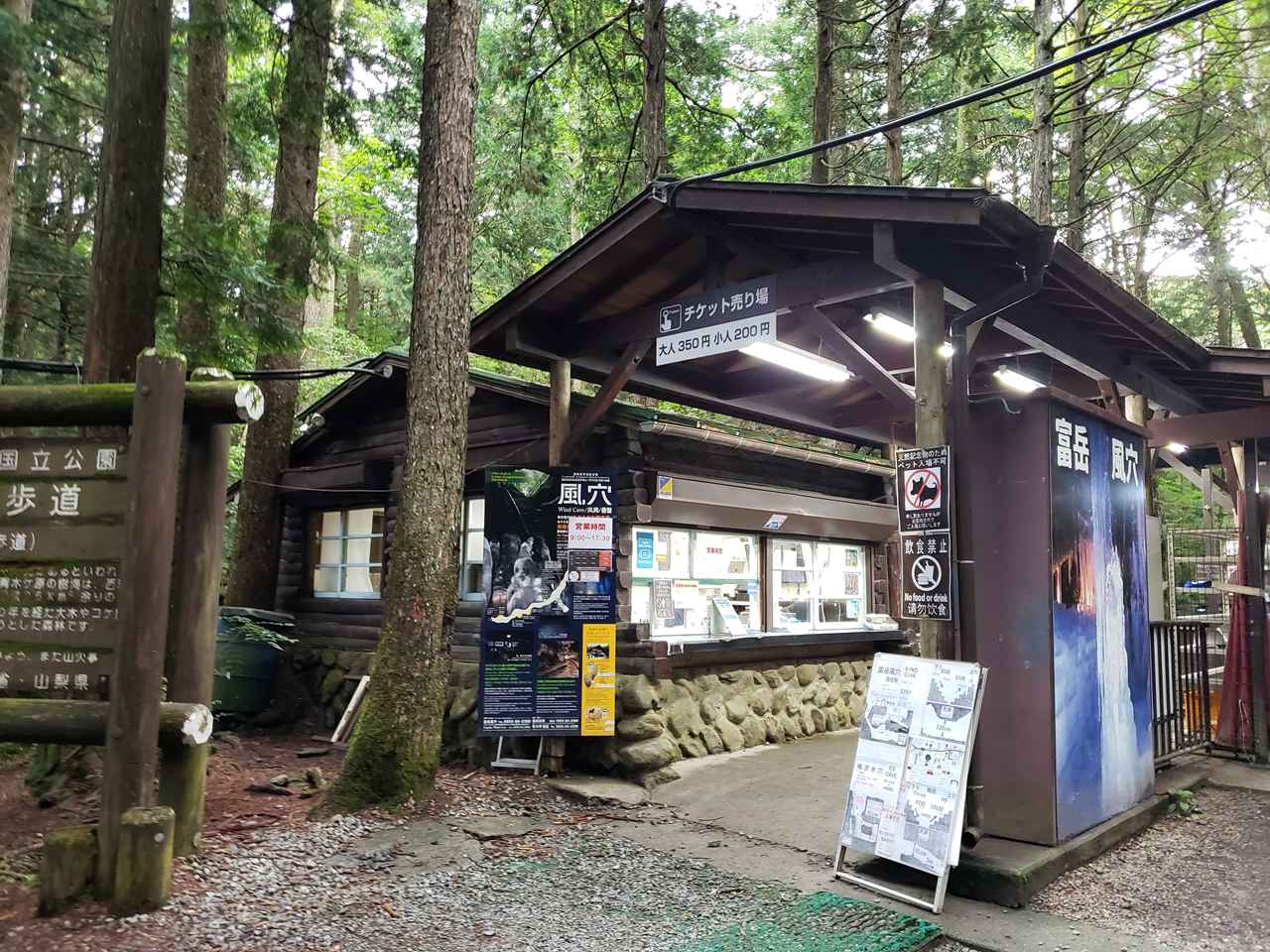 富岳風穴から始める青木ヶ原樹海の神秘散策
