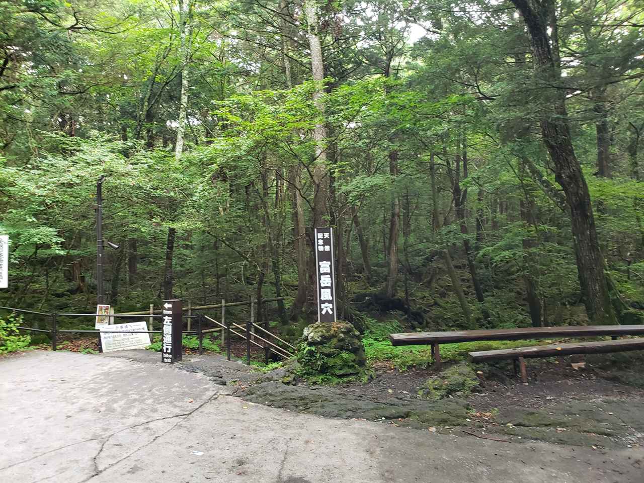 富岳風穴から始める青木ヶ原樹海の神秘散策