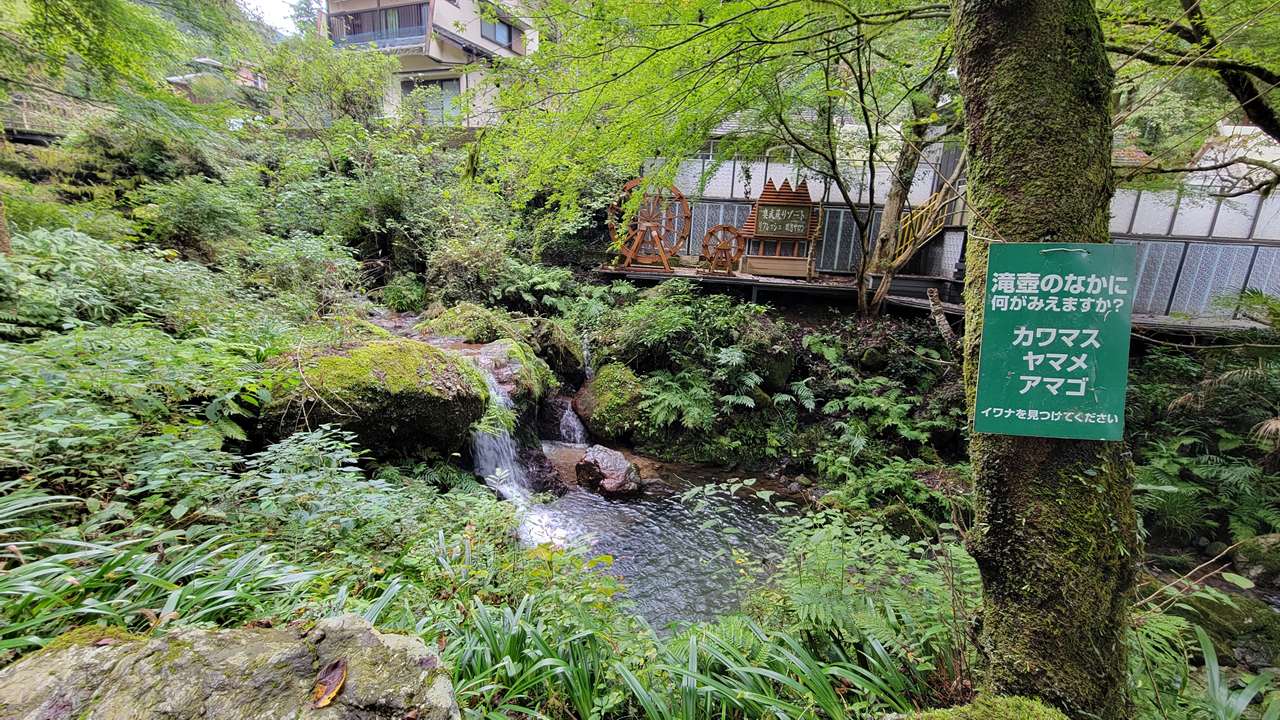 家族連れ・カップル・3世代旅におすすめの理由