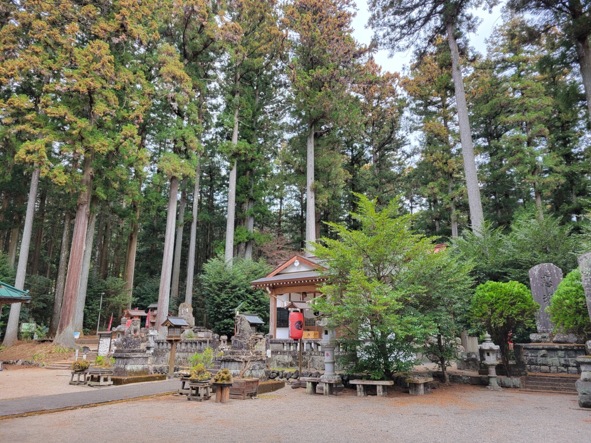 岩戸別神社とはどんな神社なのか