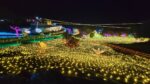 伊豆高原グランイルミ2026完全ガイド｜ファミリー・カップルで楽しむ体験型イルミネーションの魅力と見どころ
